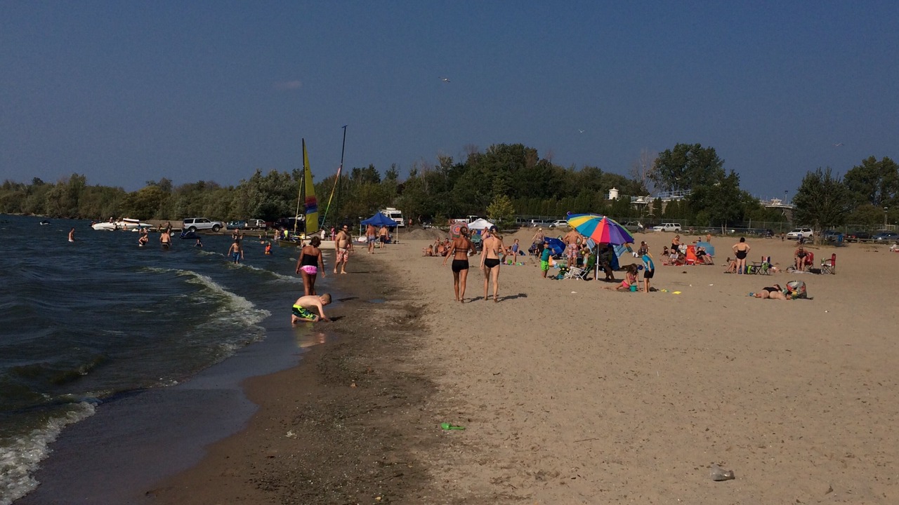 Photo of Others in Port Weller West