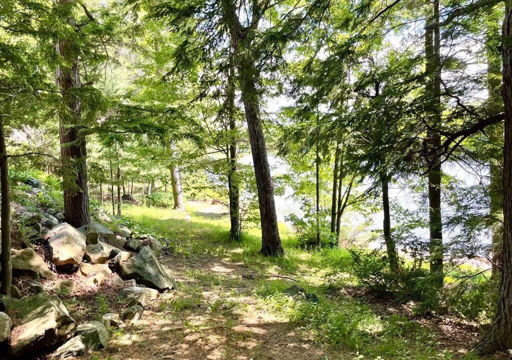 Photo of Outdoor in Georgian Bay