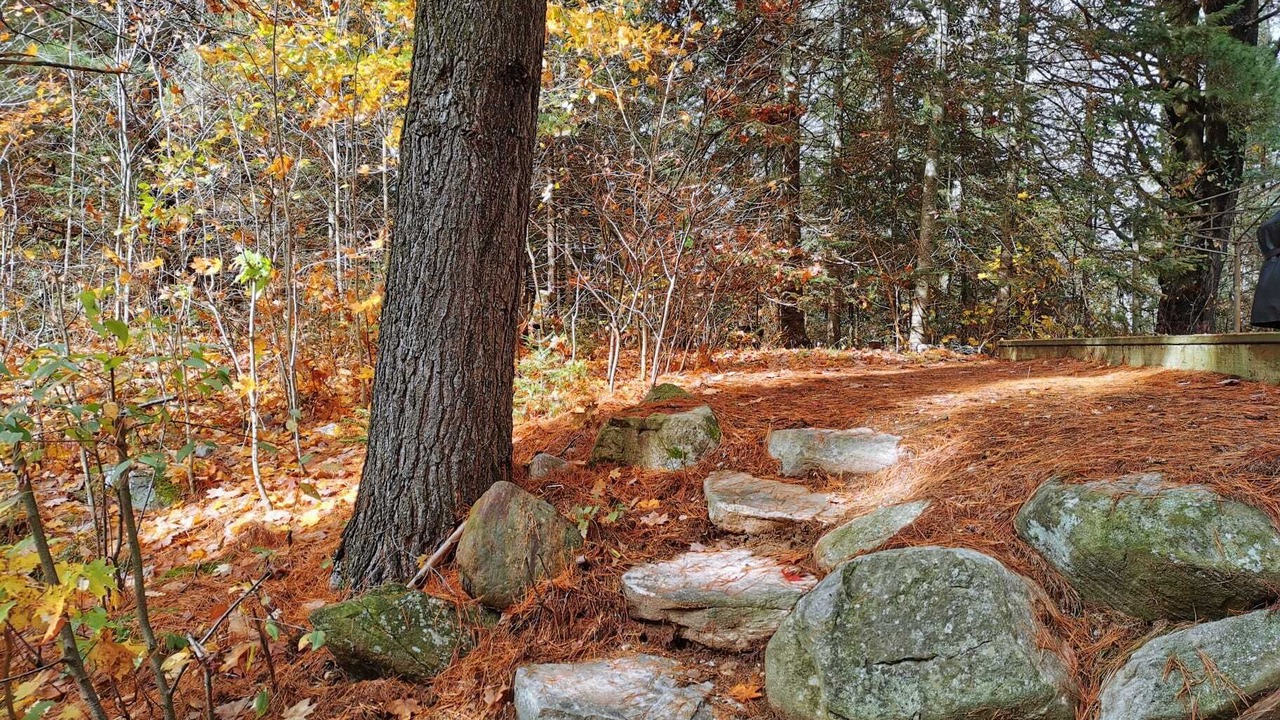 Photo of Outdoor in Perry