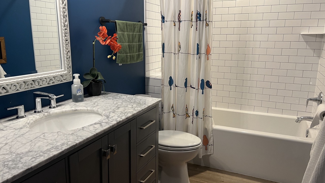 Photo of Bathroom in Annandale