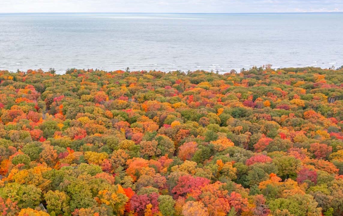 Photo of Others in Grand Bend