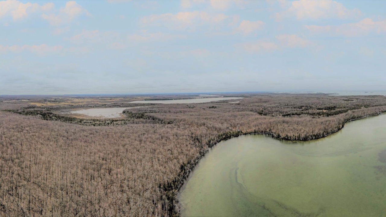 Photo of Outdoor in South Bruce Peninsula