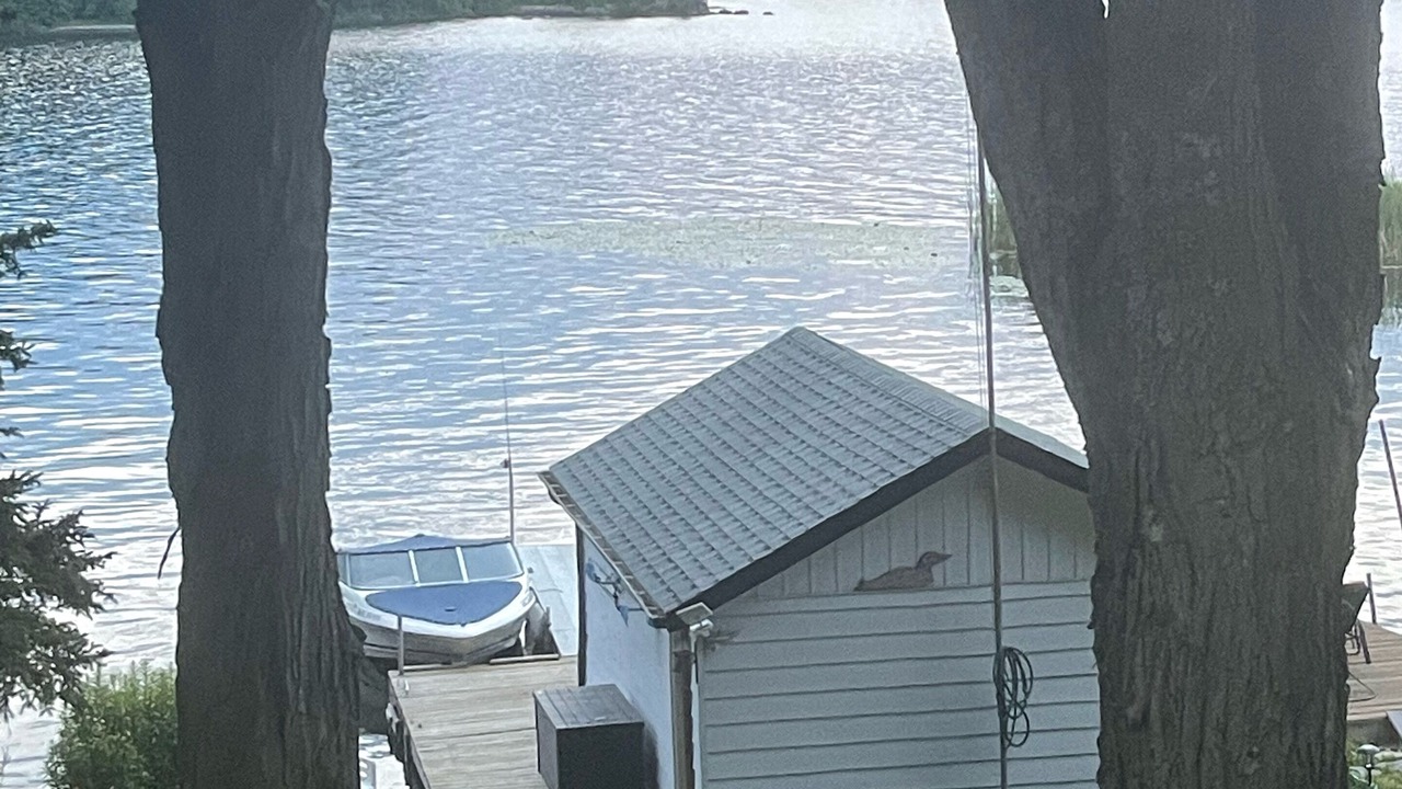 Photo of Others in Bobcaygeon