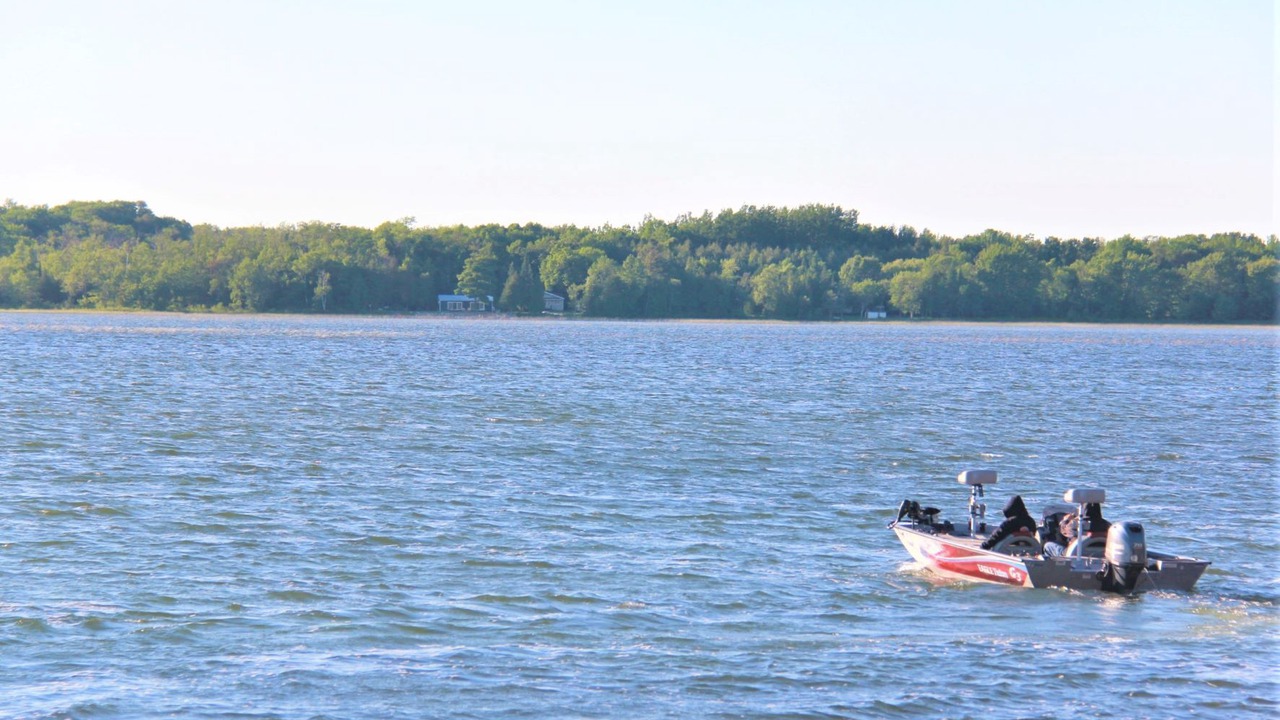 Photo of Others in South Bruce Peninsula