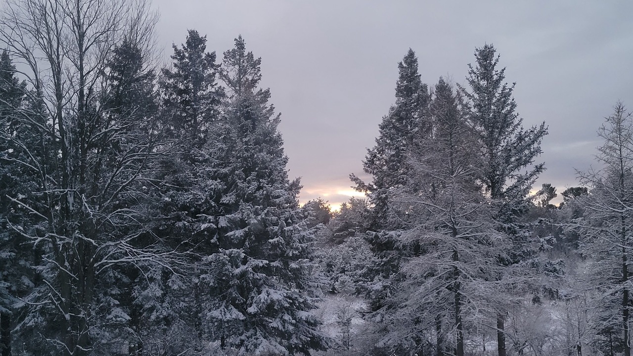 Photo of Outdoor in Adjala-Tosorontio