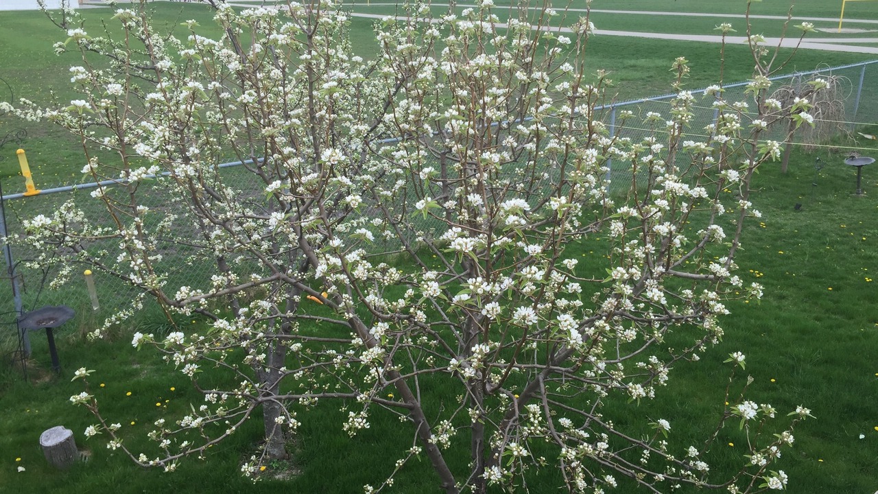 Photo of Outdoor in Riverside