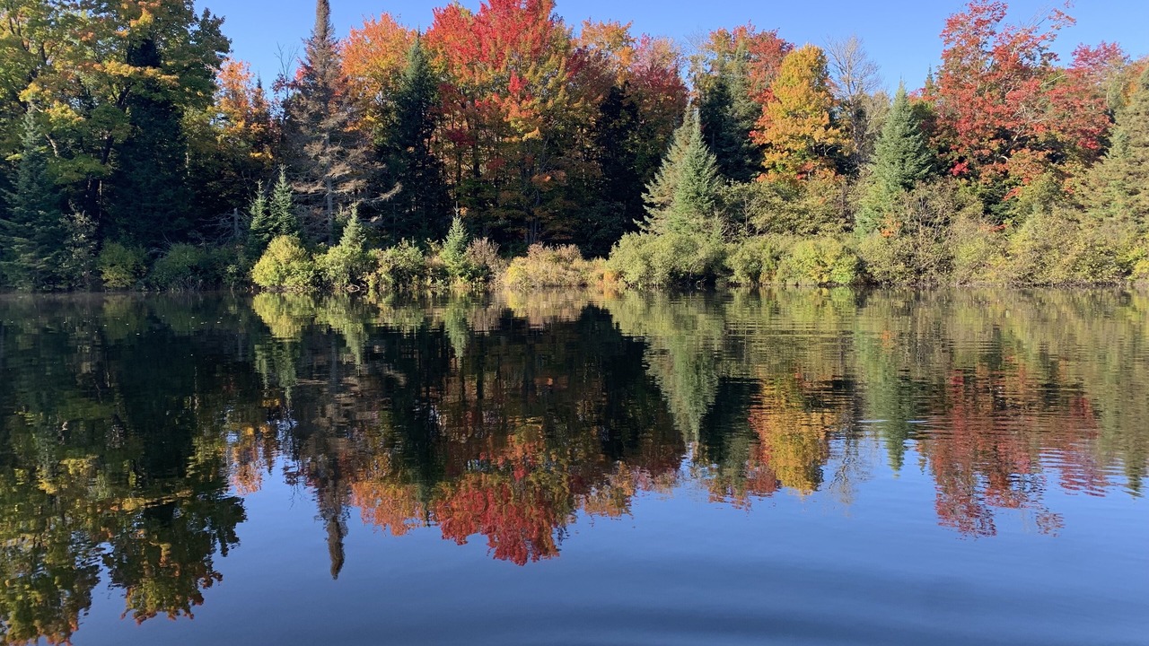 Photo of Outdoor in Bracebridge