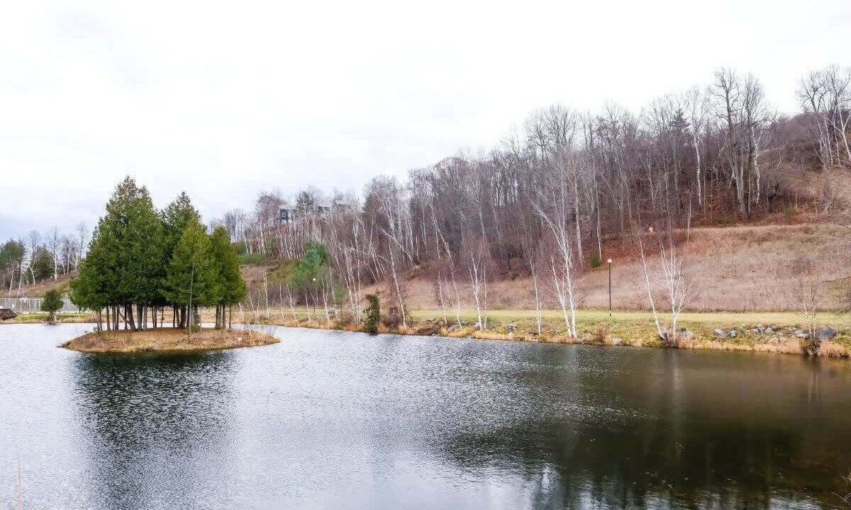 Photo of Outdoor in Calabogie