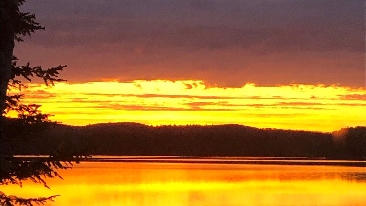 Photo of Others in Lake of Bays