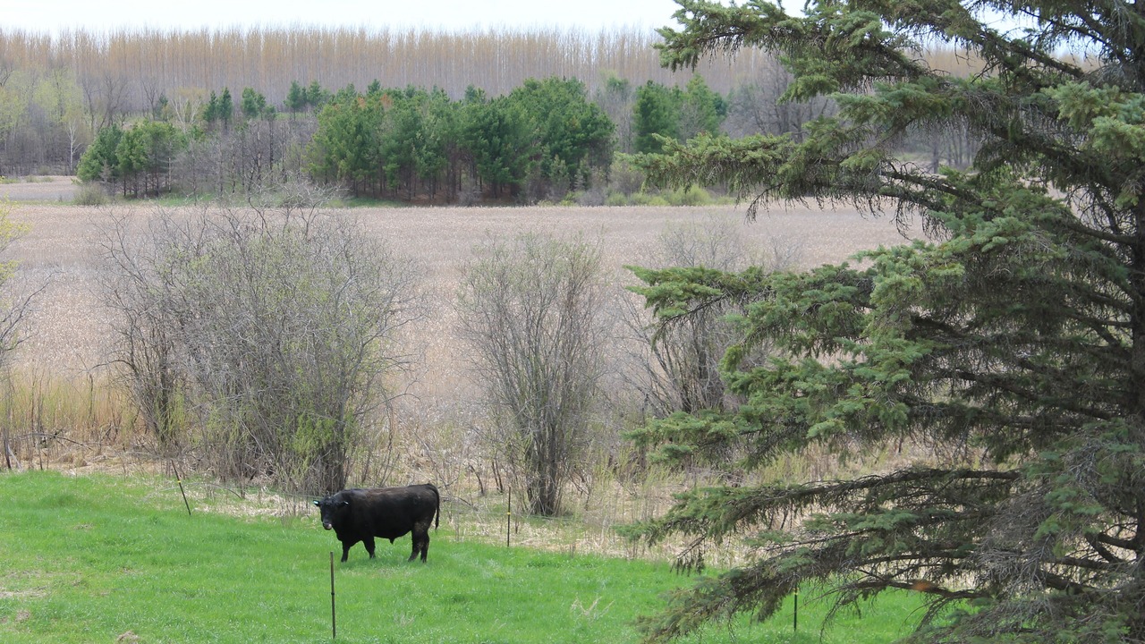 Photo of Others in Fosston