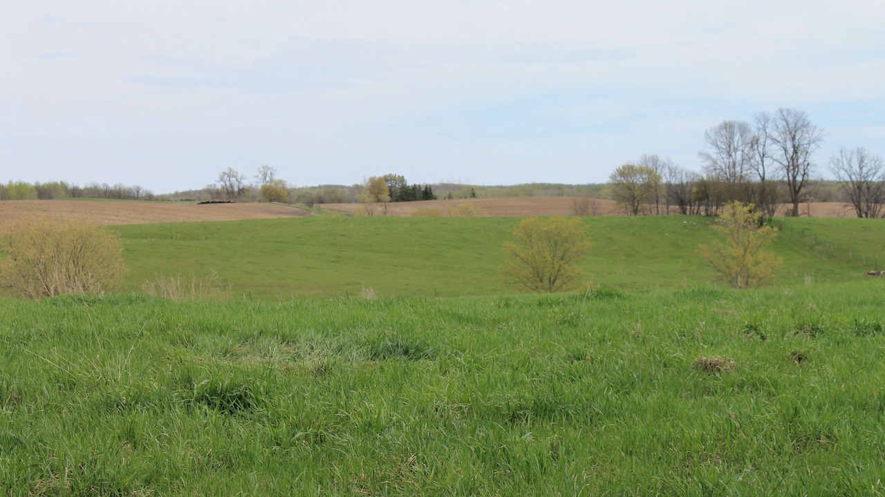 Photo of Others in Fosston