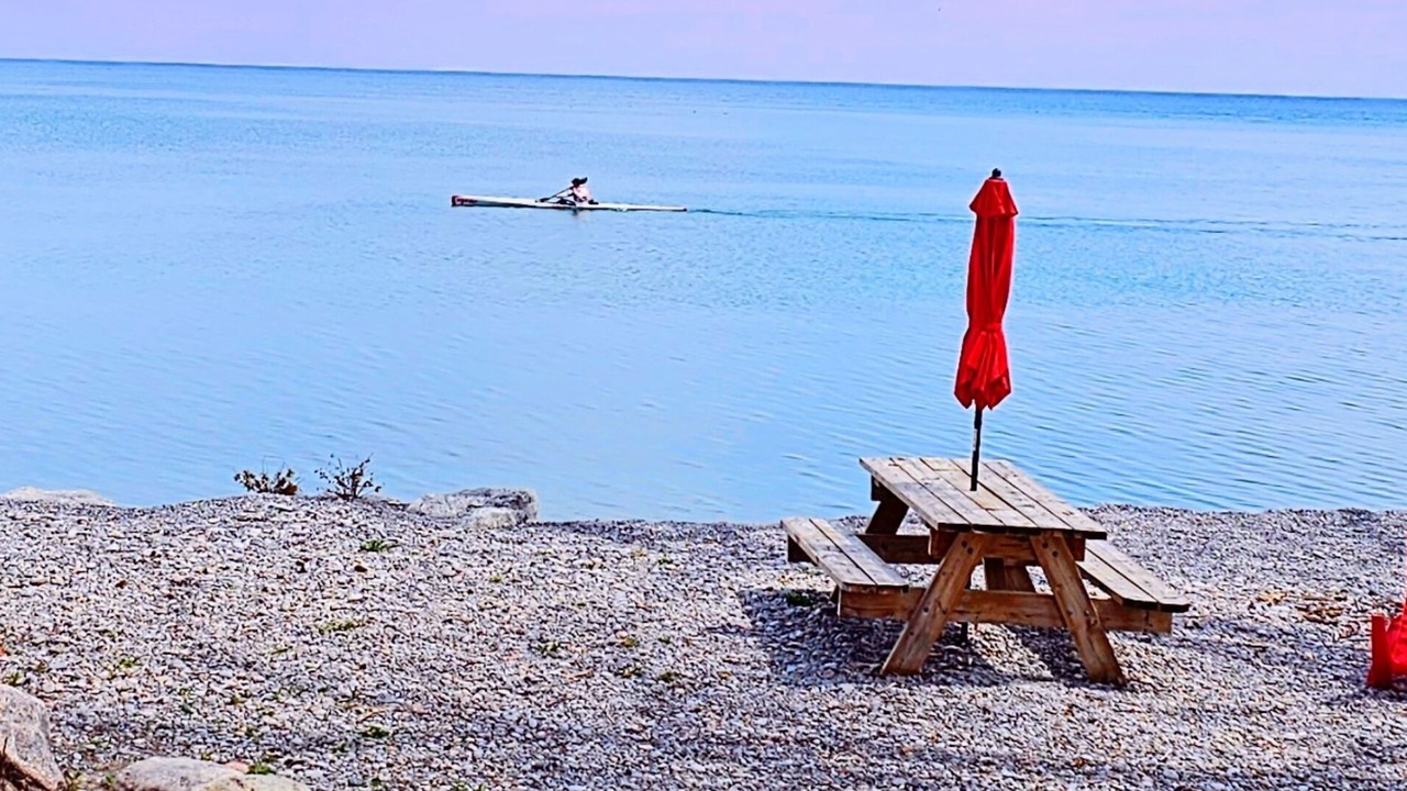 Photo of Others in Bowmanville