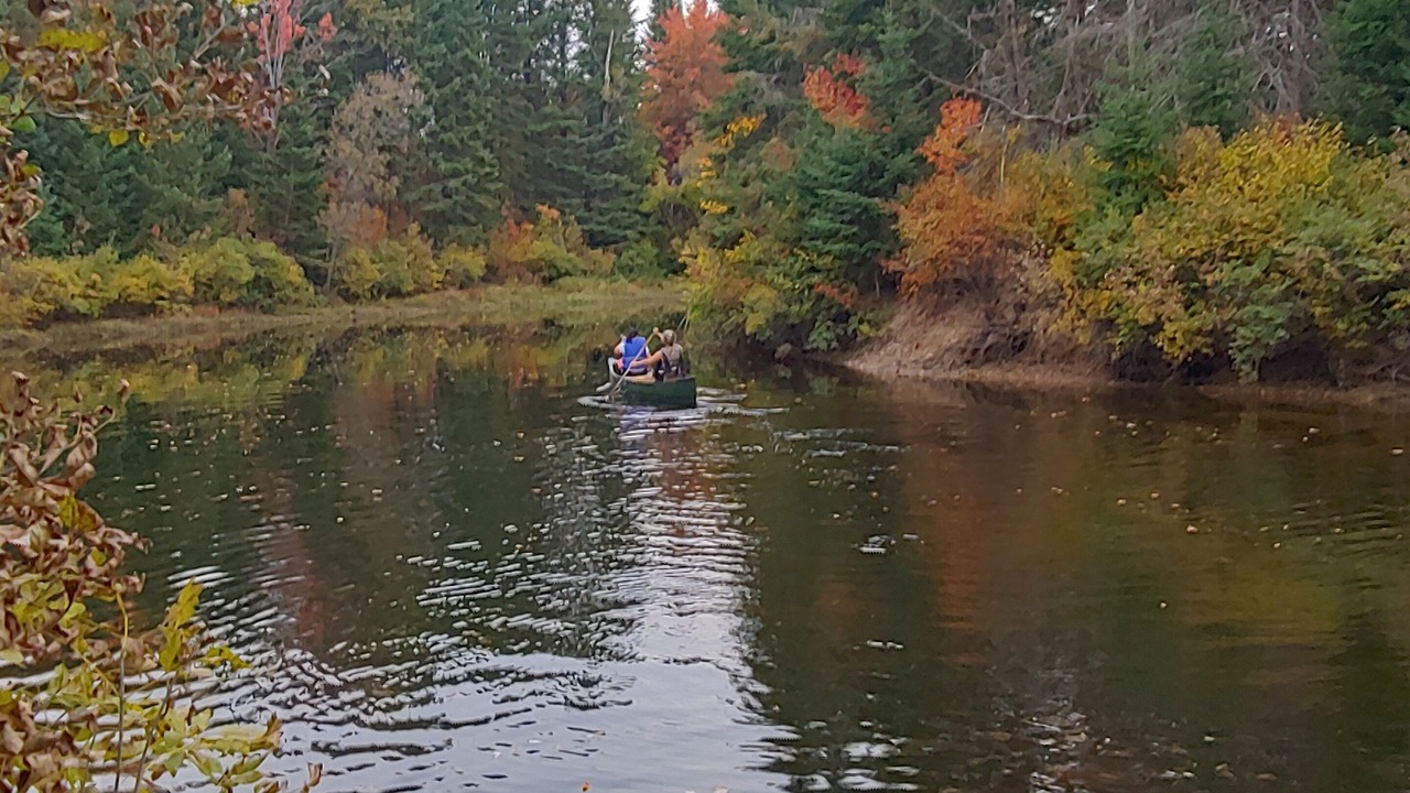 Photo of Outdoor in Hastings Highlands