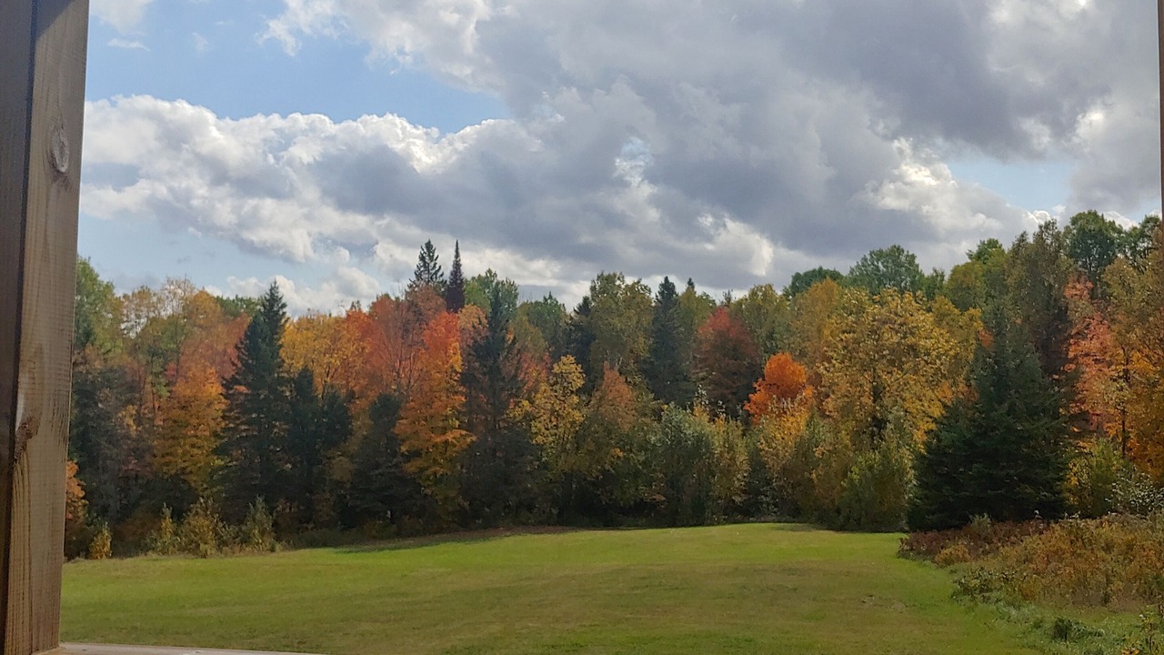 Photo of Outdoor in Hastings Highlands