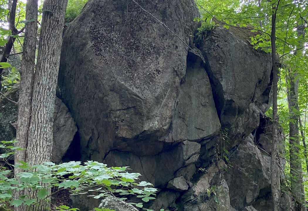 Photo of Others in Frontenac