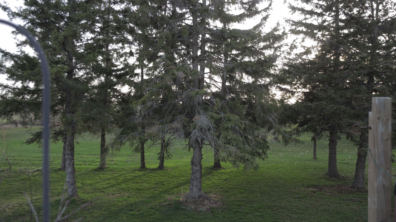 Photo of Outdoor in Clarington