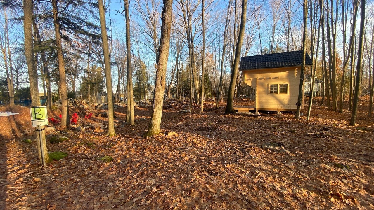 Photo of Outdoor in Selwyn