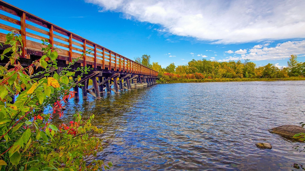 Photo of Others in Bemidji