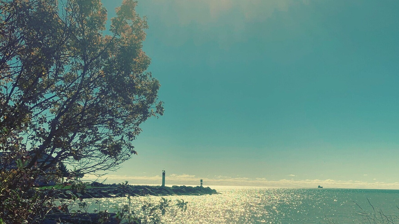 Photo of Others in Port Dover