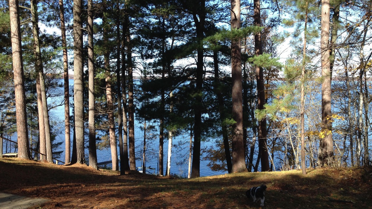 Photo of Outdoor in Longville