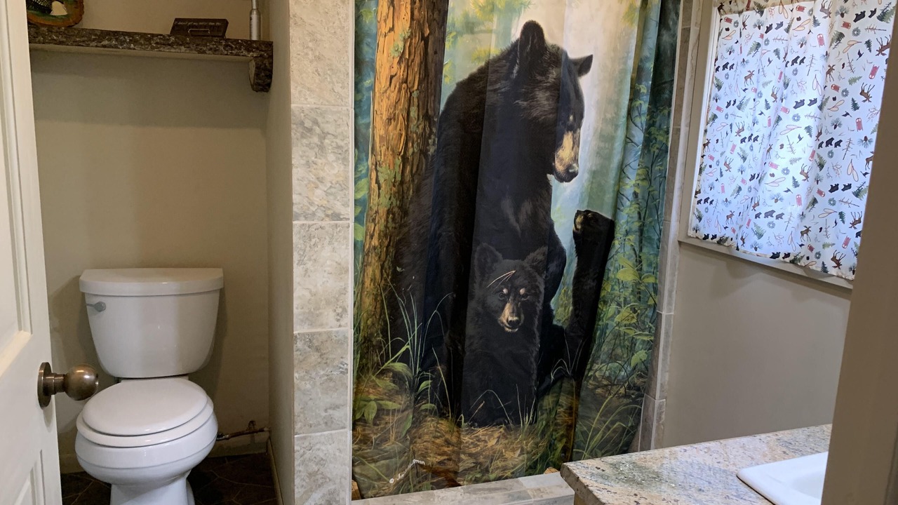 Photo of Bathroom in Longville