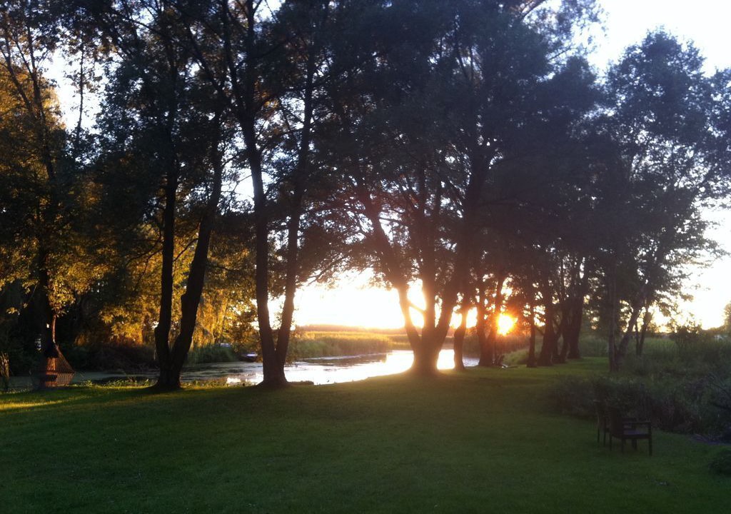 Photo of Others in Picton