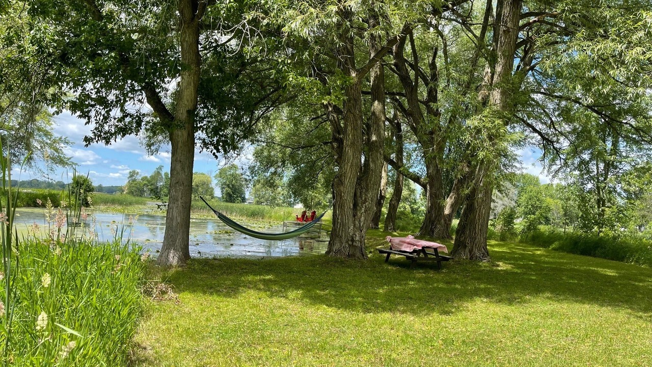 Photo of Outdoor in Picton