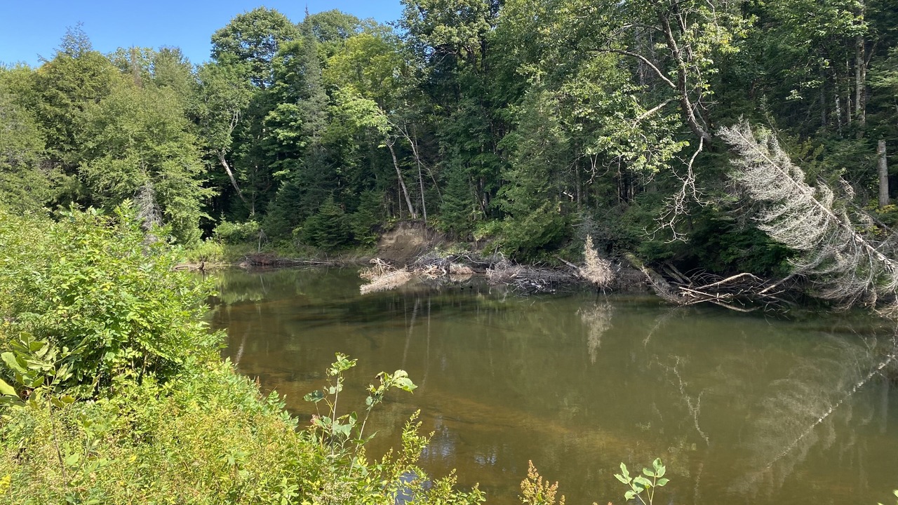 Photo of Others in Minden Hills