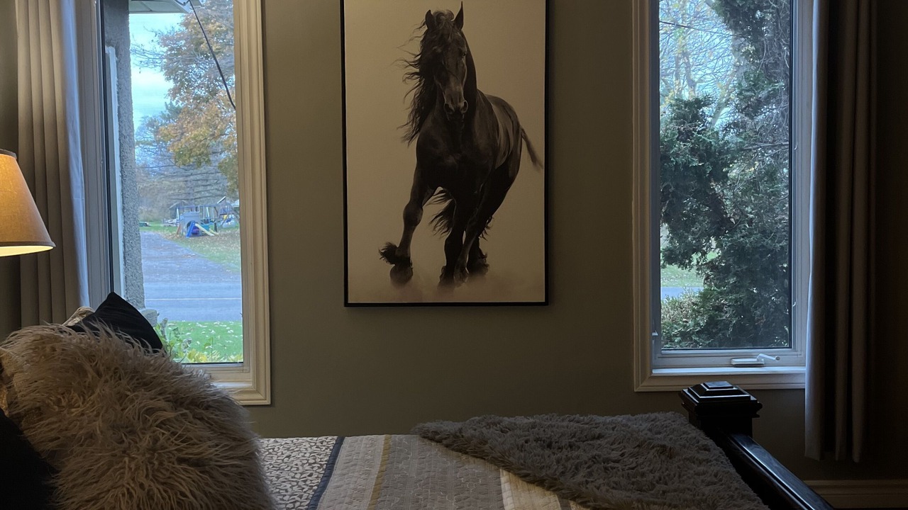 Photo of Bedroom in Port Colborne