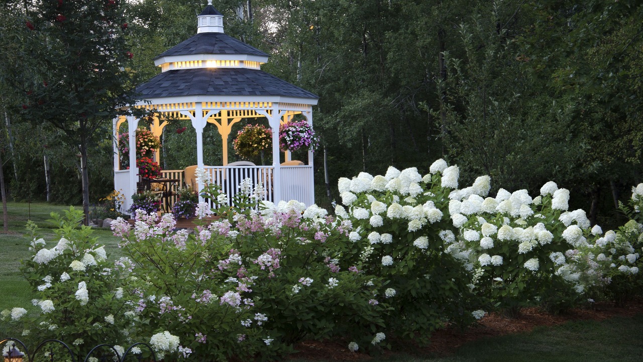 Photo of Outdoor in Duluth