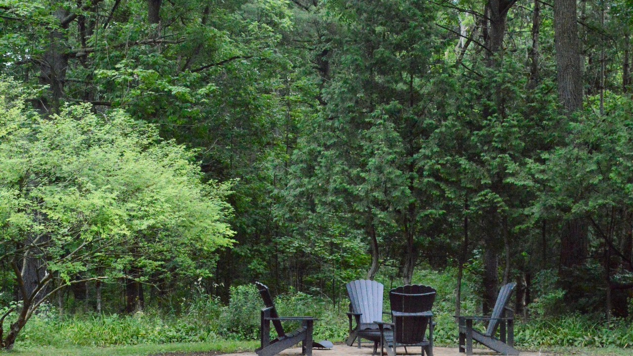 Photo of Others in North Dumfries