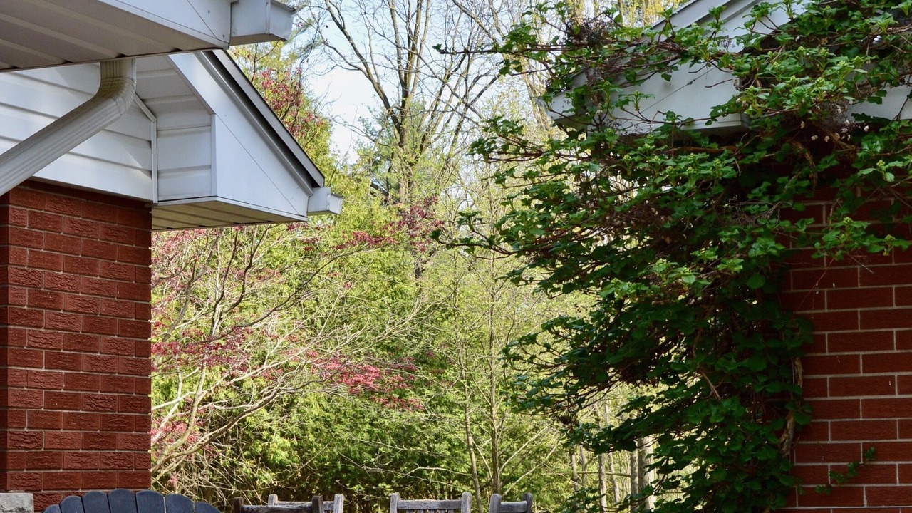 Photo of Outdoor in North Dumfries