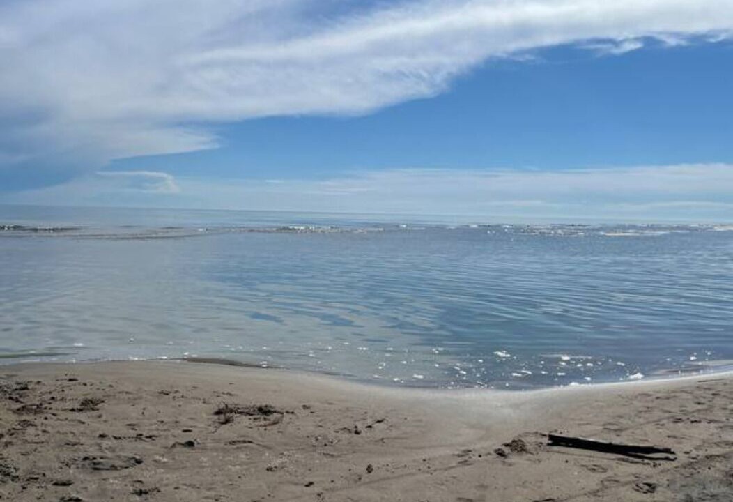 Photo of Others in Long Point