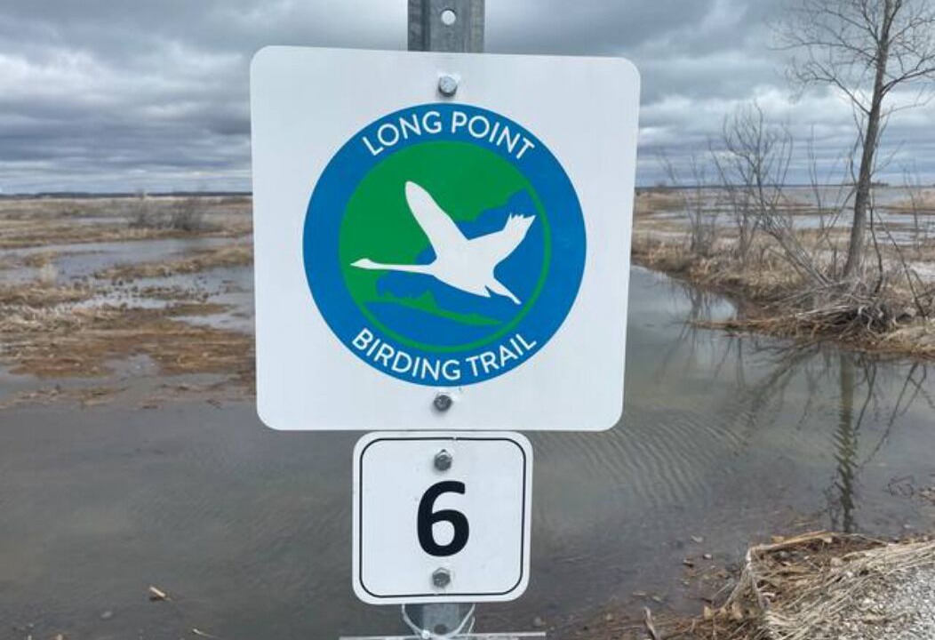 Photo of Others in Long Point