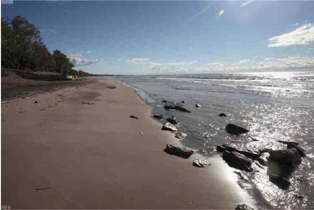 Photo of Others in Long Point