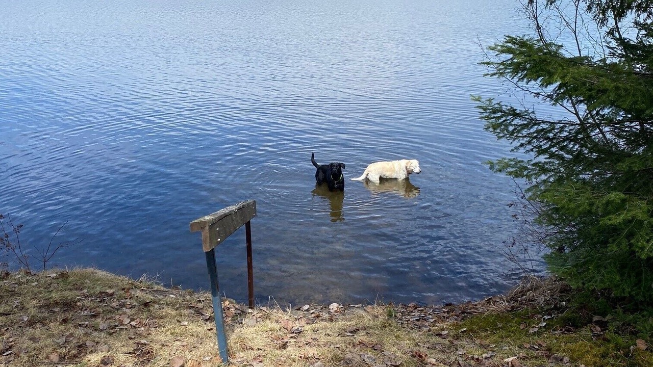 Photo of Others in Madawaska Valley
