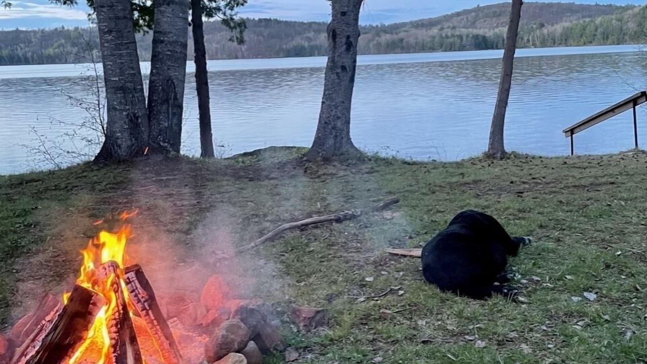 Photo of Outdoor in Madawaska Valley