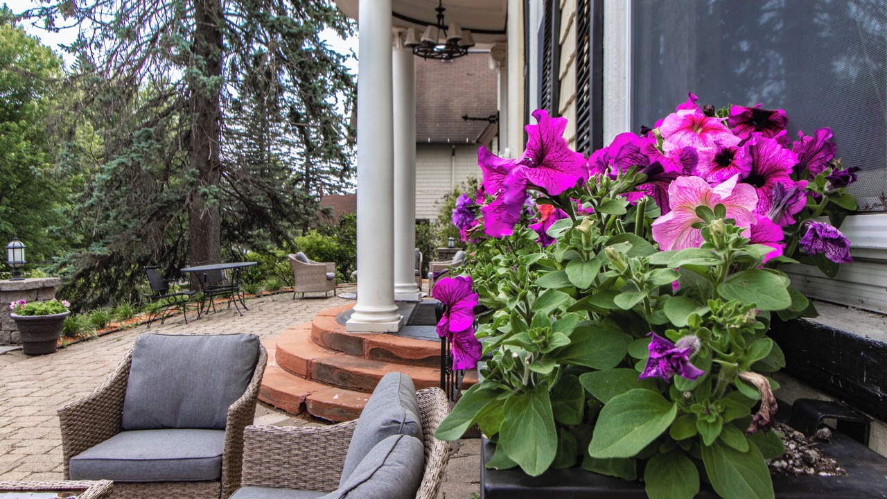 Photo of Patio Balcony in Endion