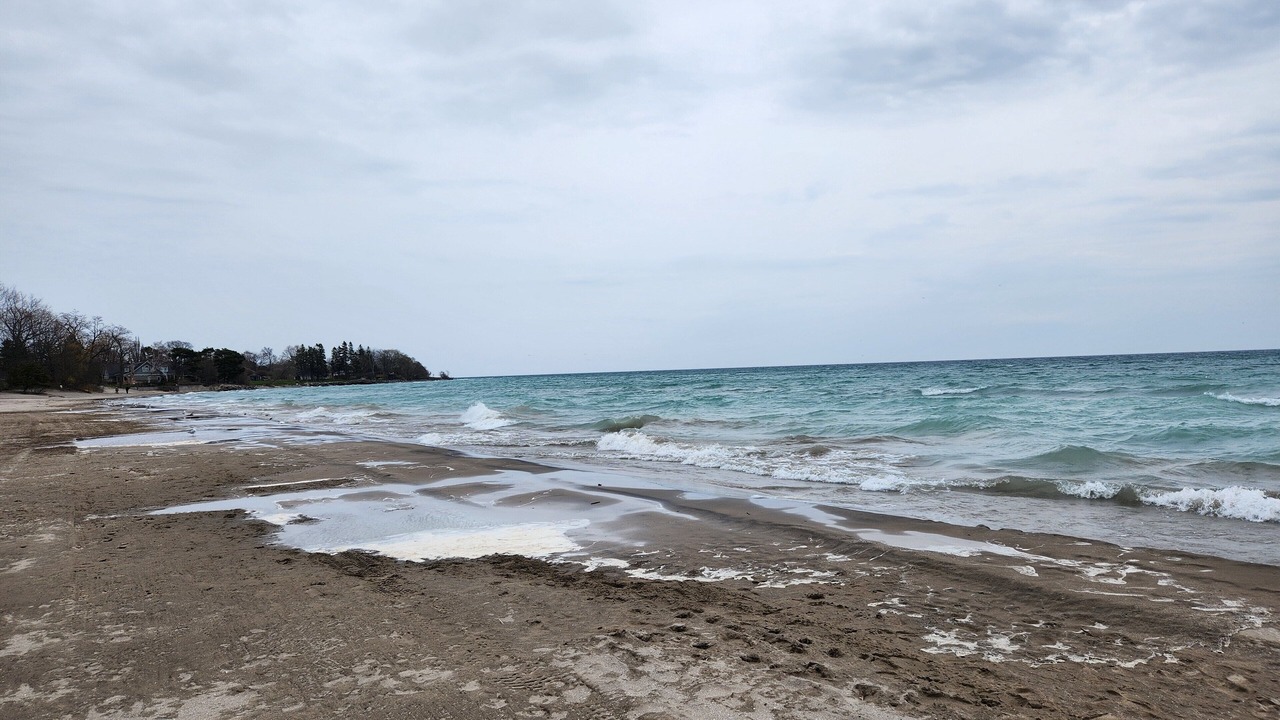 Photo of Others in Cobourg