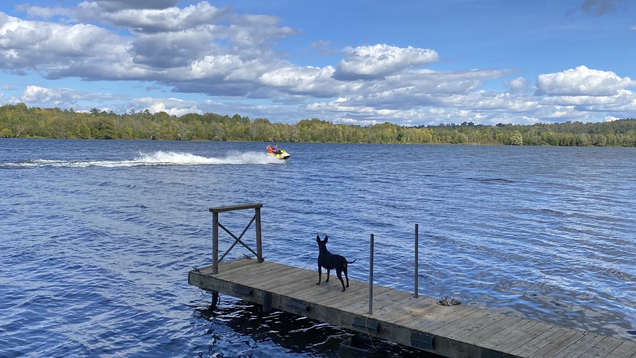 Photo of Others in Roseneath