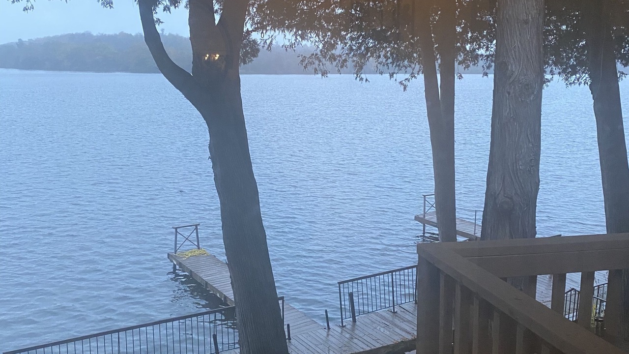 Photo of Outdoor in Roseneath