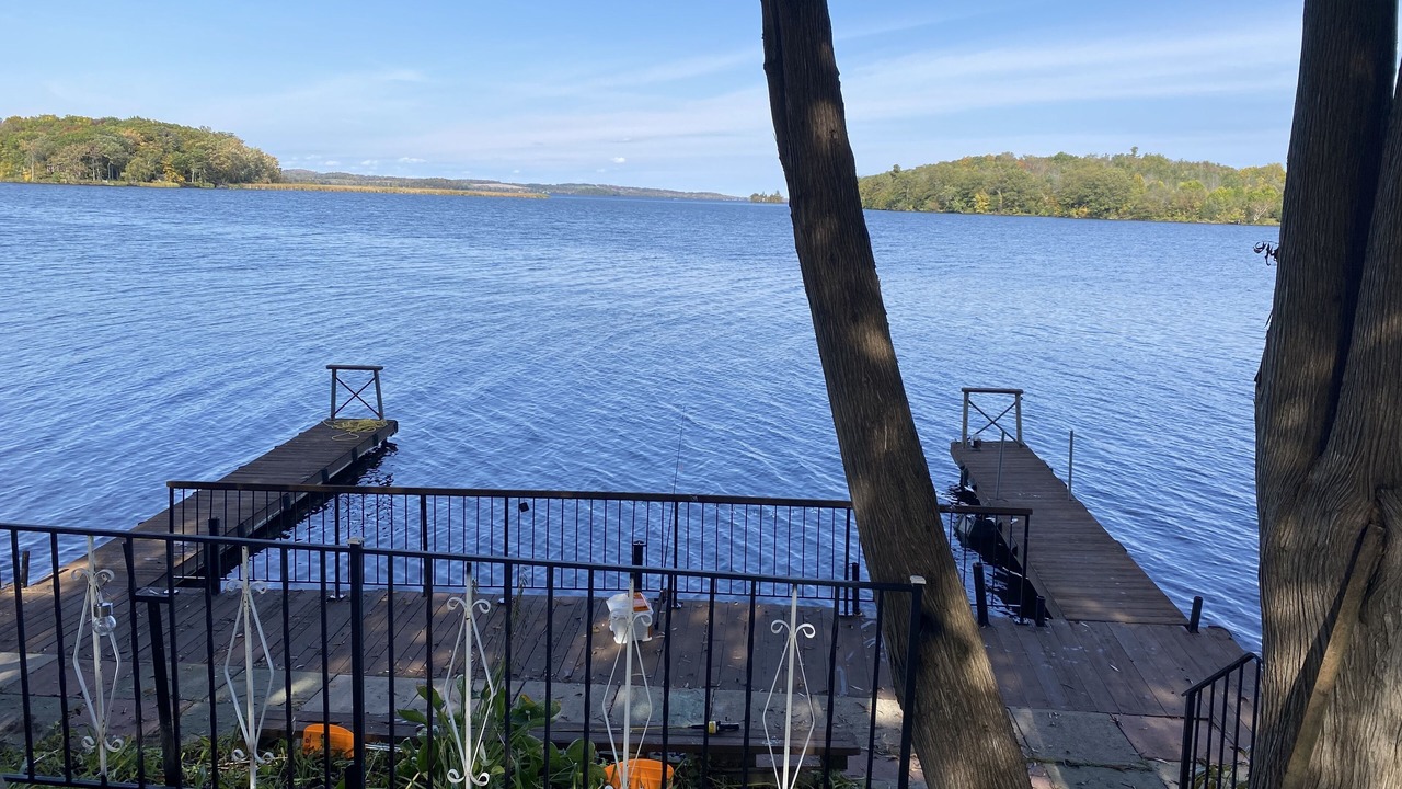 Photo of Outdoor in Roseneath