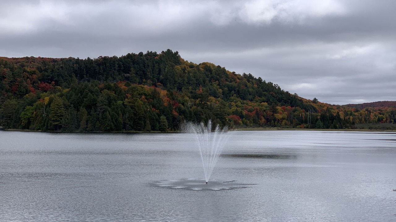 Photo of Others in Algoma District