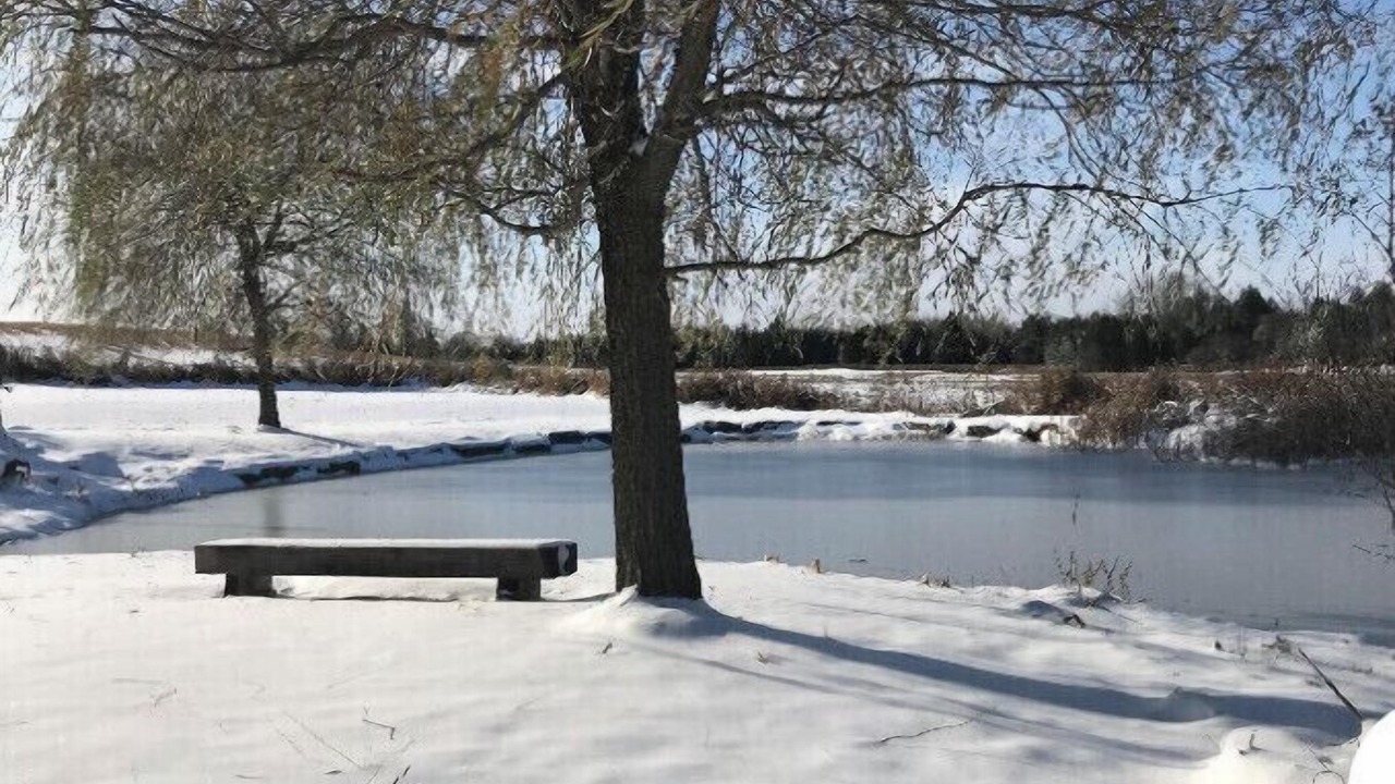 Photo of Others in Durham Region