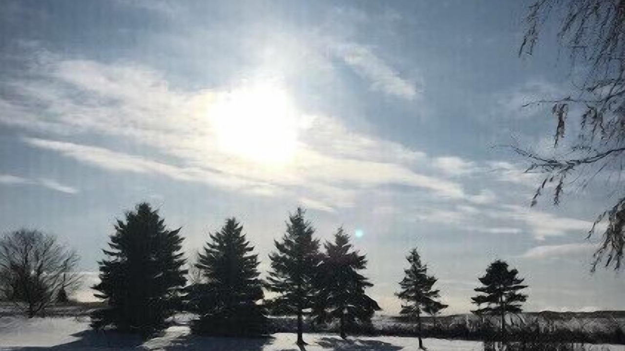 Photo of Others in Durham Region