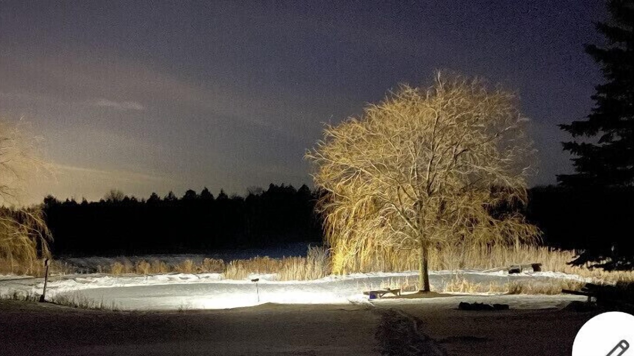 Photo of Others in Durham Region