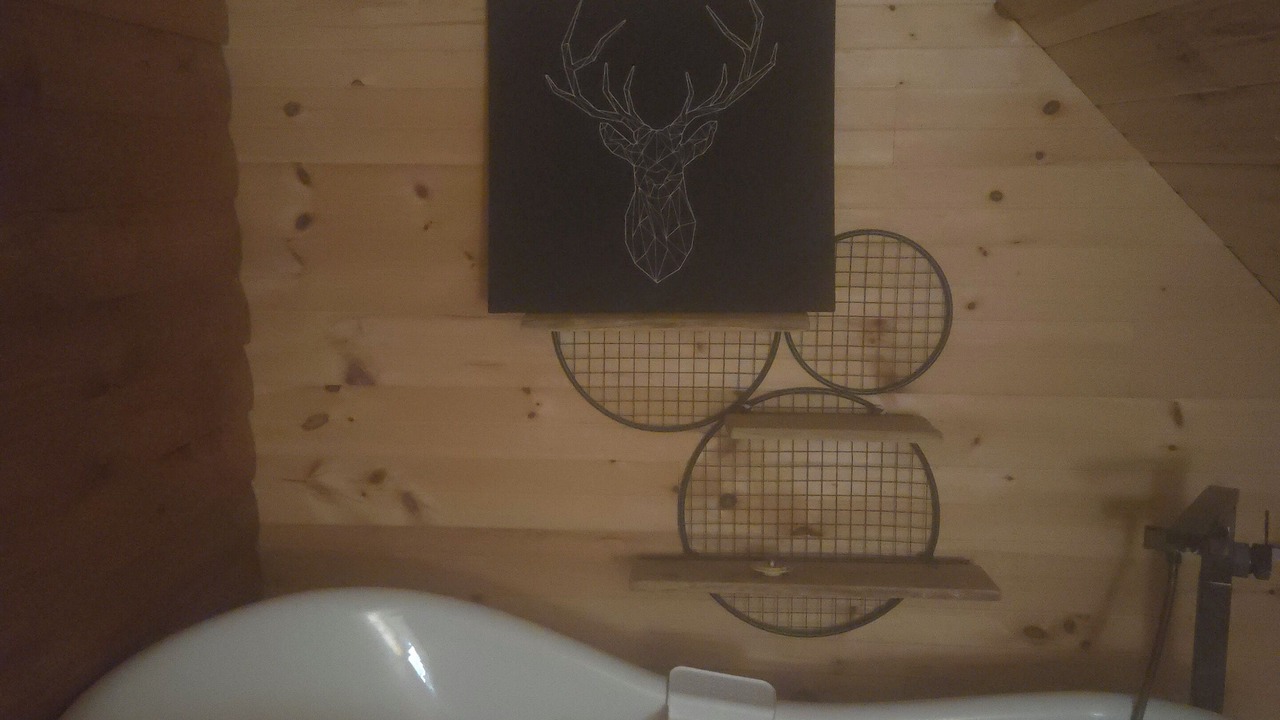 Photo of Bathroom in Minden Hills