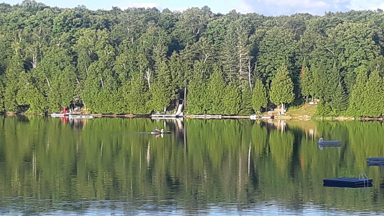 Photo of Outdoor in Minden Hills