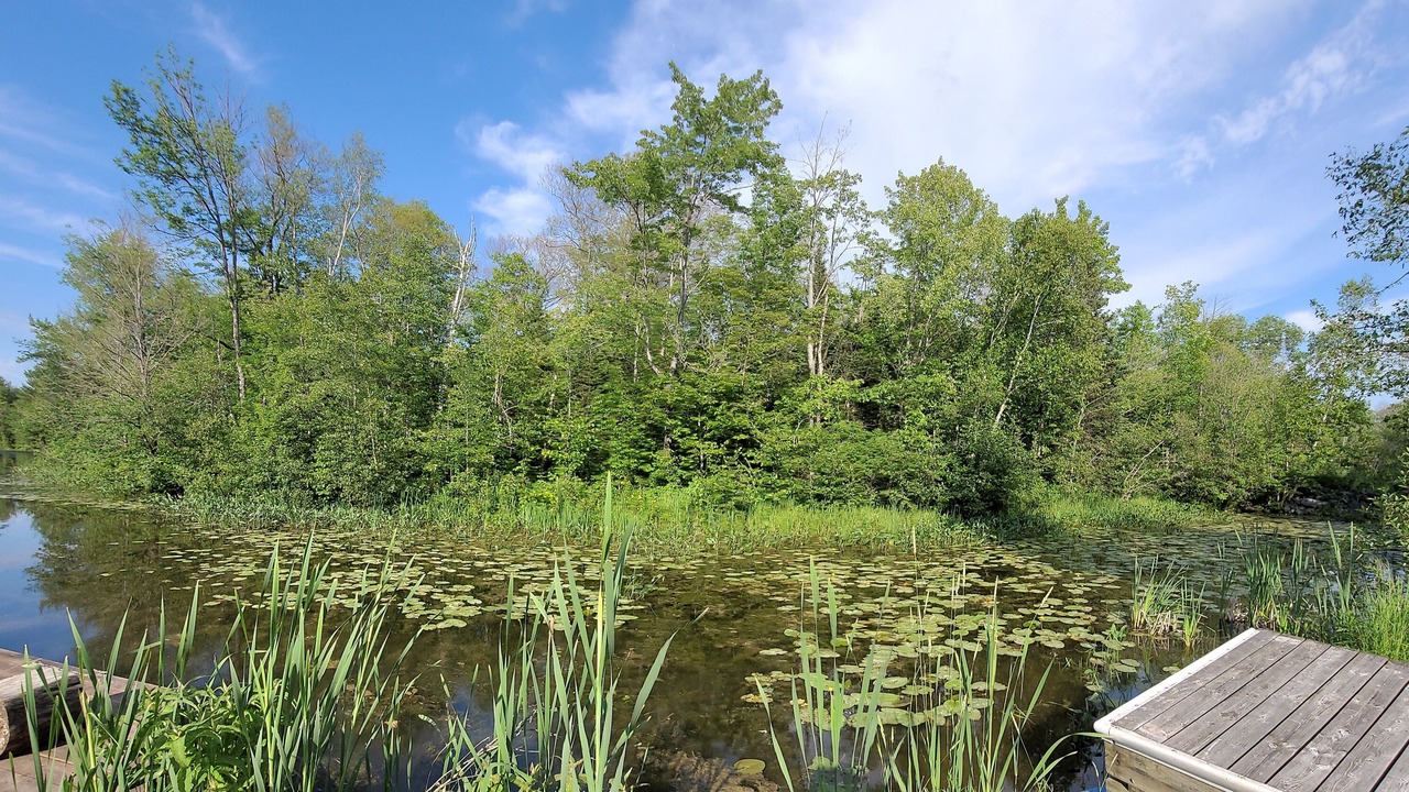 Photo of Outdoor in Severn