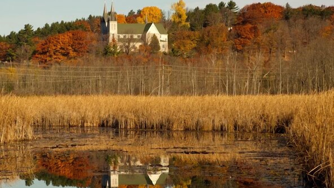 Photo of Outdoor in Severn